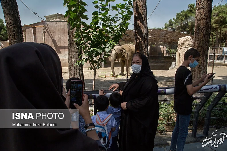 (تصاویر) رونمایی از «مایسا» در باغ وحش ارم